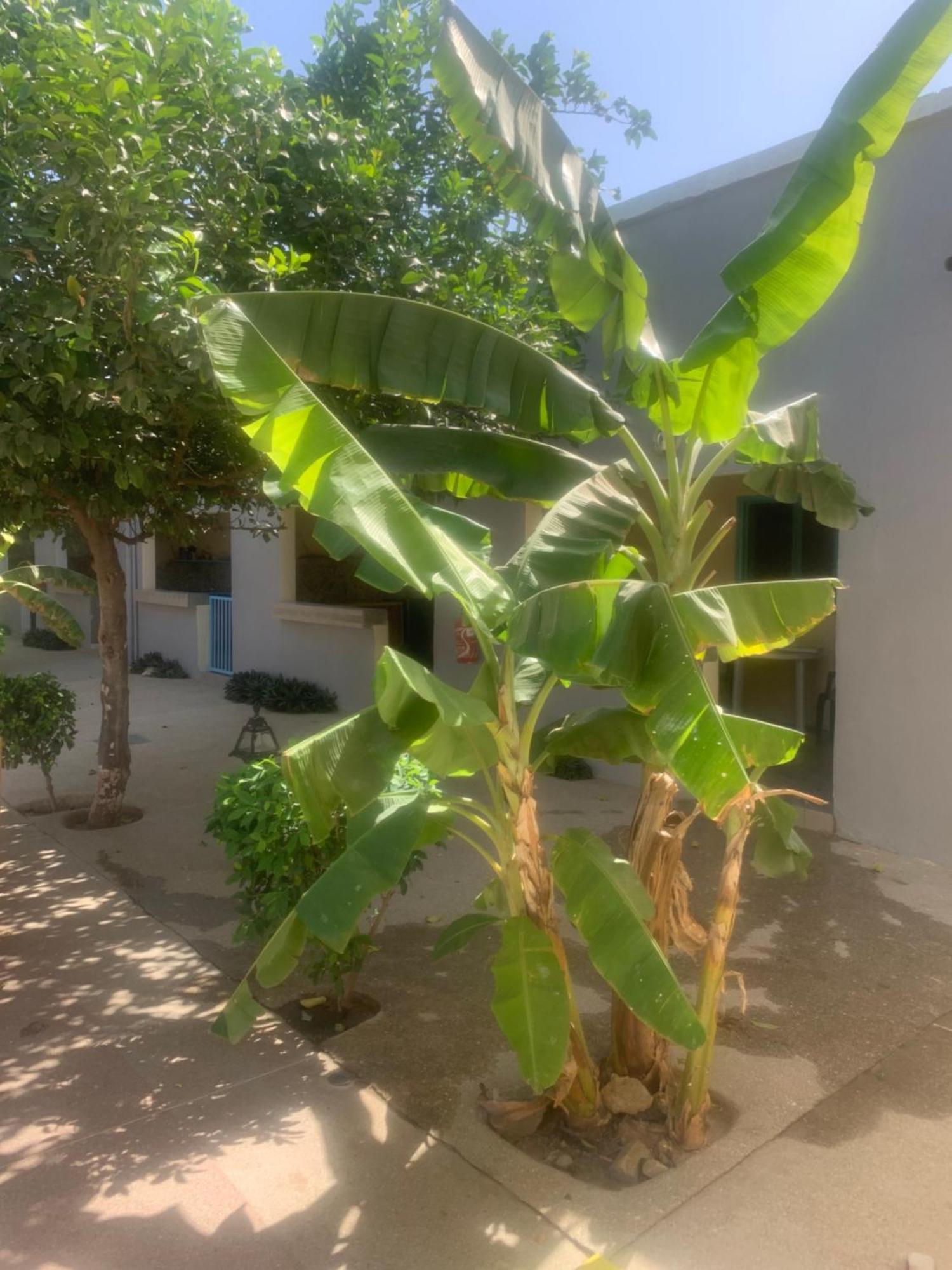 Auberge Keur Ely Ouoran Bagian luar foto