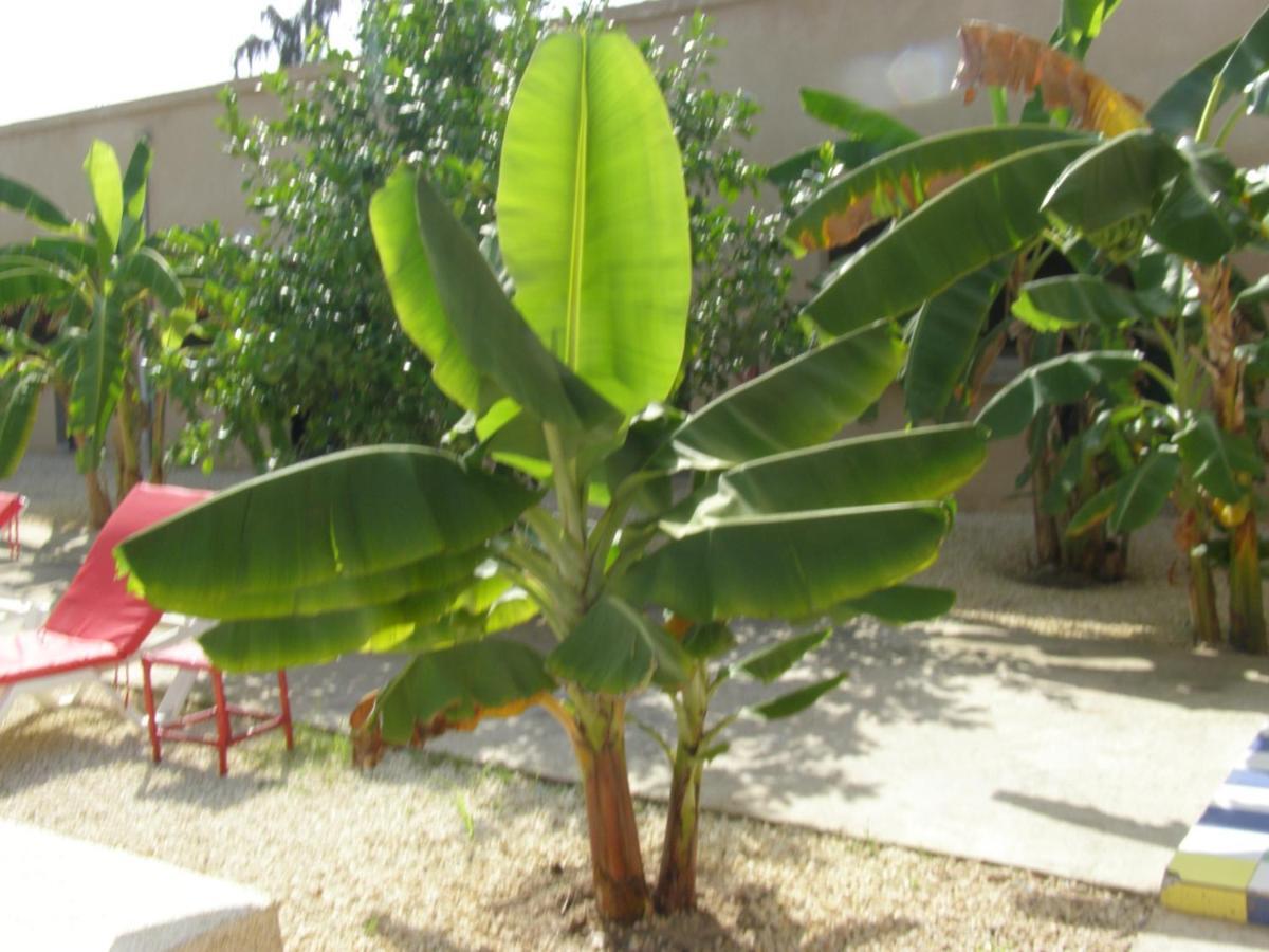 Auberge Keur Ely Ouoran Bagian luar foto
